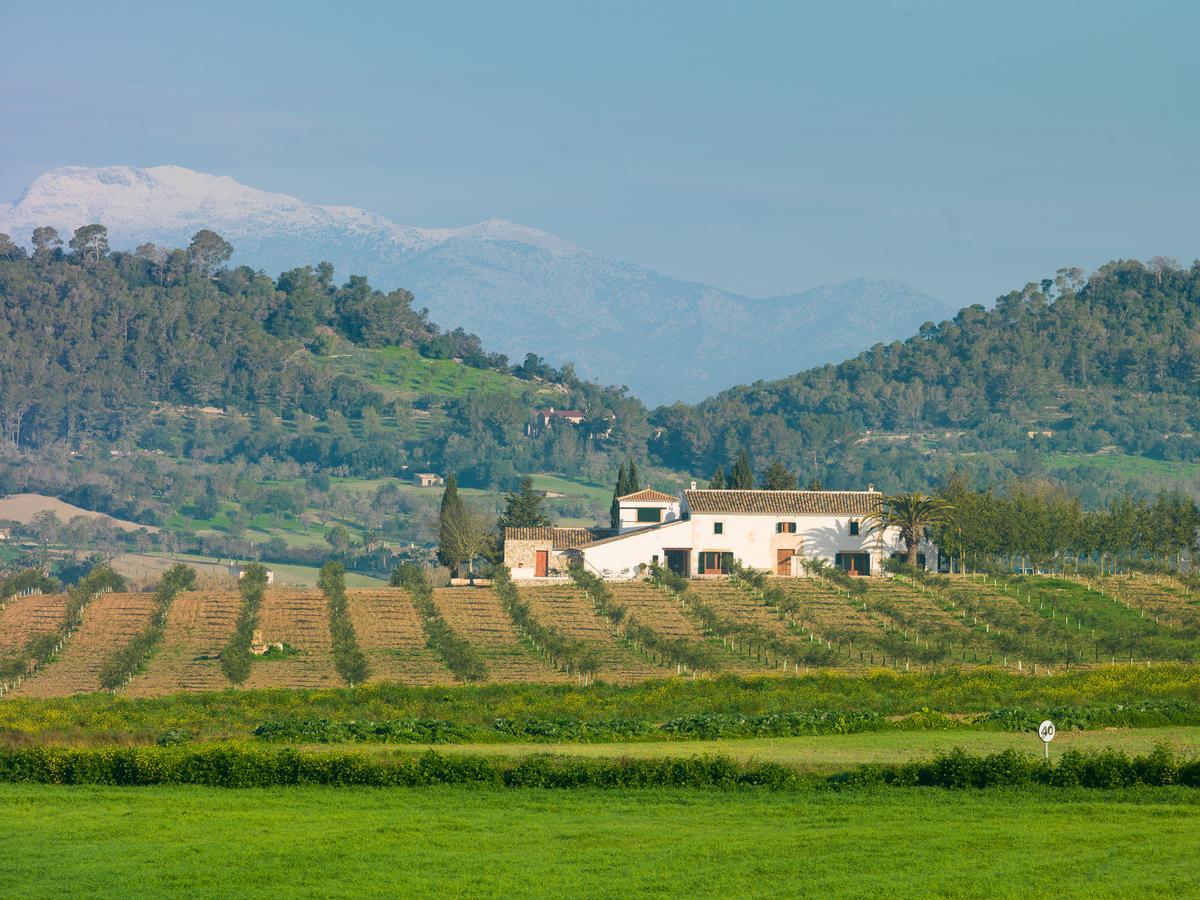 Agroturisme Gossalba Sant Joan ภายนอก รูปภาพ